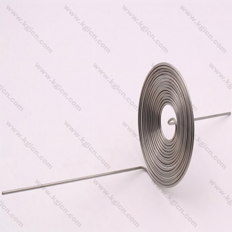High quality Extension Spring for Electronics
