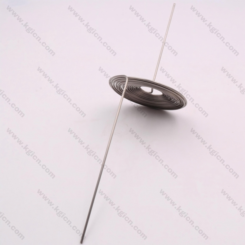 High quality Extension Spring for Electronics